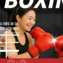 킹스복싱 이미지