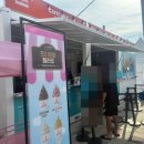 타울 | 여의도 야외수영장 '여의도한강공원 수영장' 방문 후기 (운영시간, 입장료, 할인 정보, 준비물, 편의...