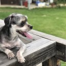 망와고택 이미지