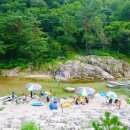 오색연가 이미지