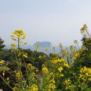 언제나 봄날 - 서구 | 언제나 봄날