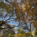 이튼튼구강악안면외과치과의원 | 한 번 더 모악산으로! / 미용실 / 사랑니 발치 / 산책