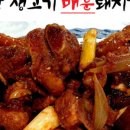 꼴통돼지