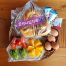 대덕-돌머리해수욕장 가로수 | [에어비앤비숙소 추천 슈퍼호스트]함평주포한옥마을 ~ 봄 ~ 봄 봄