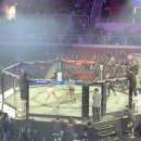 정치03 | ZFN 03 직관 후기: 언더카드 게임의 재발견