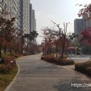 한신더휴제이드카운티1단지경로당 | 옥길 한신더휴(제이드카운티1단지) 조경 놀이터 산책 구경
