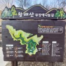 [공지] 40대 아저씨의 야간뇨 100일간의 고군분투기