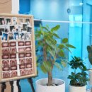 건치과기공소 이미지