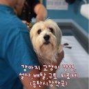 송탄시장약국 이미지