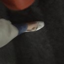 우리의 봄날 이미지