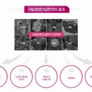 탄탄한의원 이미지