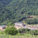 자라섬캠핑장 중도-1 이미지