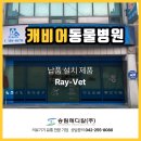 캐비어동물병원 이미지