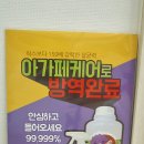 시선끌림