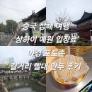 상해로 | 중국 상해 여행 상하이 예원 입장료 야경 포토존 옛거리 빨대 만두 후기