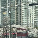 반야월주유소 | 대구반야월세차 24시간운영 노터치세차 컴인워시 신서점