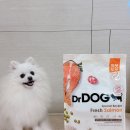 순독 | 강아지 사료 순위 보고 고른 반려견 피부사료 닥터독