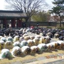 향교로 1 이미지