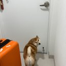 자모 | 광안자모병원 제왕절개 출산부터 조리원 후기