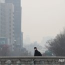 화원세탁소 동행미디어 시대