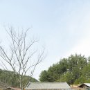 봄볕내리는날 이미지