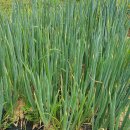 이천농장 이미지