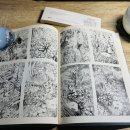 늙은 개 이미지