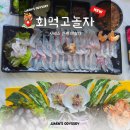 더놀자PC카페 | 속초 대포항 횟집 회먹고놀자 후기 홍게 돌돔 맛집