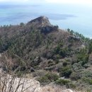 수정-111 이미지