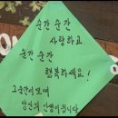 에미렛 달아요(에미레이트 홍콩 어쎄스)