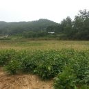 명화농장 이미지