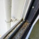 대주사 | 순천시 이사청소 연동대주파크빌3차 후기