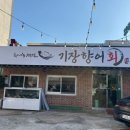 기장향어