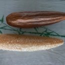 봄여름가을이야기 이미지