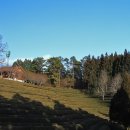 주식회사 보성 이미지