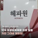 메디팜보문약국 네이버블로그