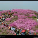 지리산 바래봉으로 초대 합니다. 이미지