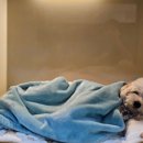 (주)바우라움 이미지