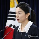 김인애 카카오 검색결과