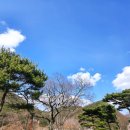 (주)아이어스 이미지