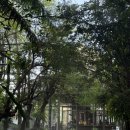 티디앤 | 치앙마이 여행 후기 3 - 코코넛마켓 차린파이 디앤마사지