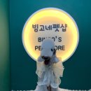 빙고네펫샵 이미지