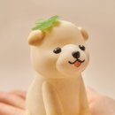 행복한 멍냥이 이미지