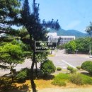 성산구 경남지방법원(창이대로 681) 정문 앞 | 창원 사파동 법원 앞 입지 좋은 꼬마 빌딩 매매