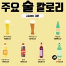 테크니카주짓수