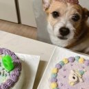 오간식 영등포점 이미지