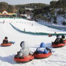 천안상록리조트 이미지