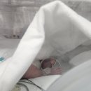 아이투비 산부인과 앞 | 출산후기_아이투비 산부인과 자연분만 박성록 대표원장님