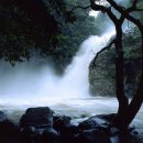 자연밸리 관광농원 이미지