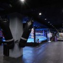 클린히트 복싱 2호점 이미지